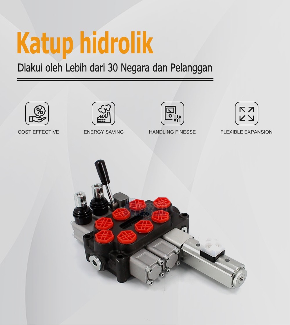 Seeking Global Distributors and Wholesalers for Q45-DT-2OT Monoblock Directional Valves